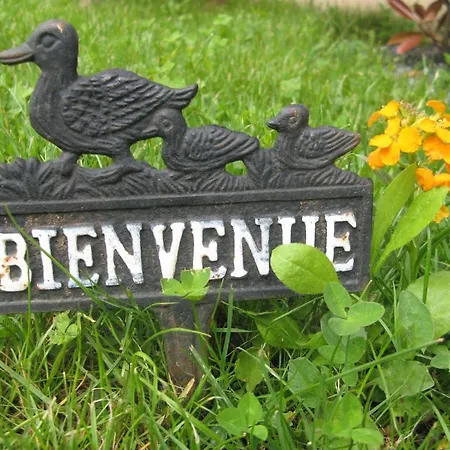 Les De L'ile